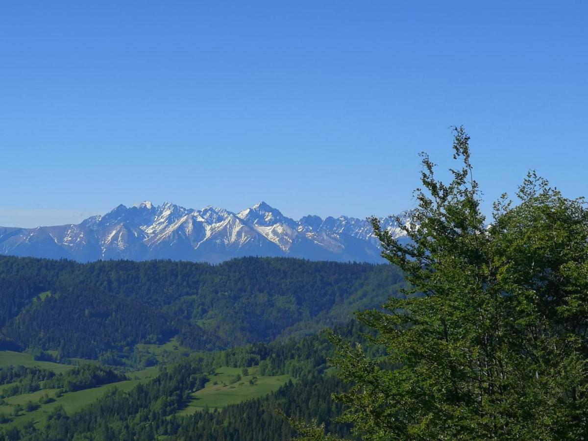 Gorczanskie Siedlisko Ochotnica Górna Dış mekan fotoğraf