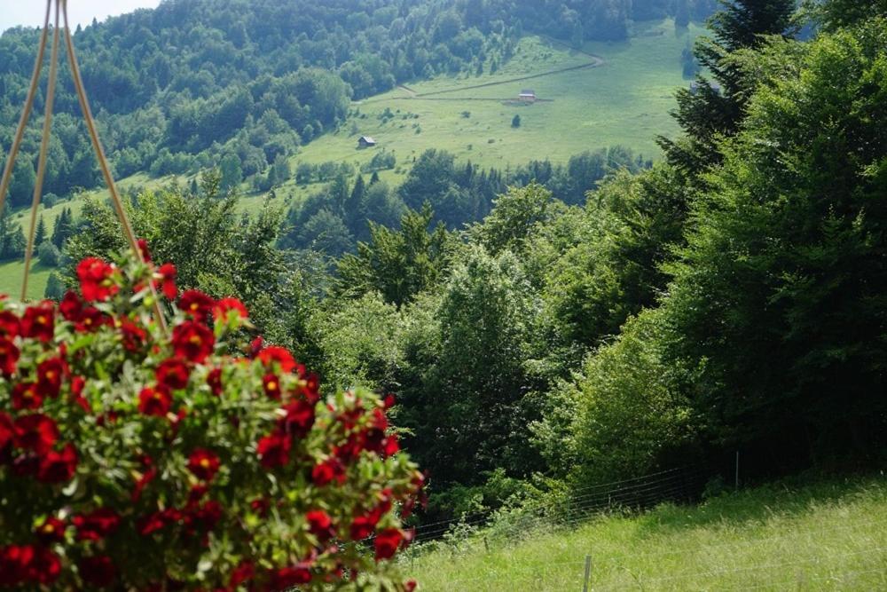 Gorczanskie Siedlisko Ochotnica Górna Dış mekan fotoğraf